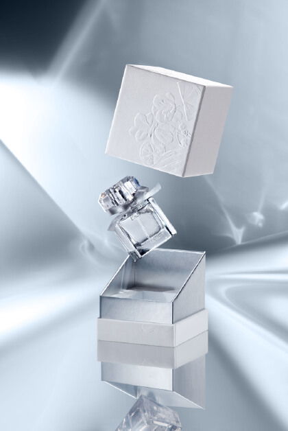 灰白银 站酷Zcool平台上的创意设计宝藏