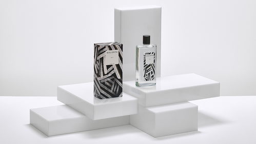 创意视觉交响曲 包装、插画、标志与网站的融合之美